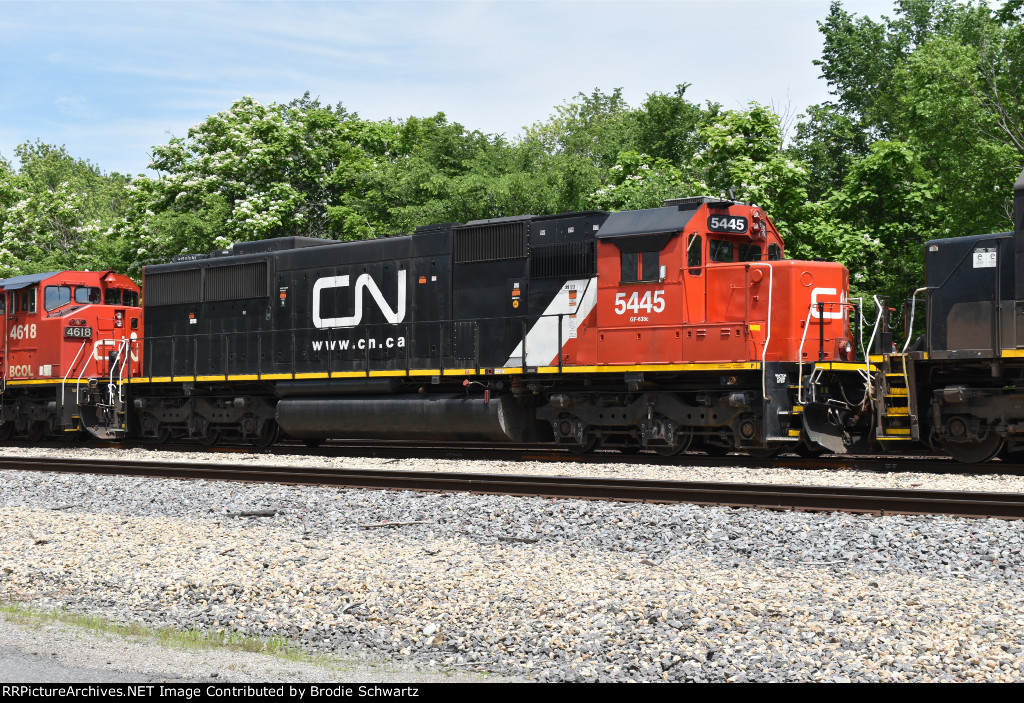 CN 5445